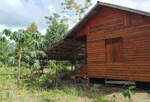 Pondok Kayu Muara Kasih景点图片