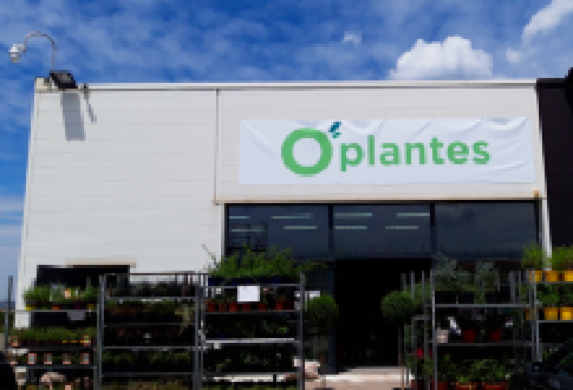 Oplantes购物图片