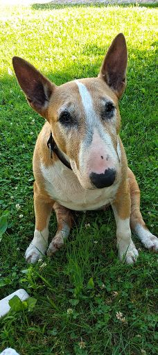 Meseház-贝凯什乔鲍伊区