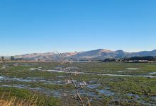 Bexley Wetland景点图片