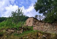 Goballı mahalle Camii景点图片