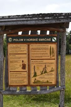 Poledník-普拉斯利