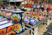 Sisters Garden购物图片