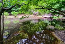 駿河平自然公園景点图片