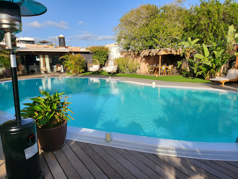 Arenas Lounge餐厅图片