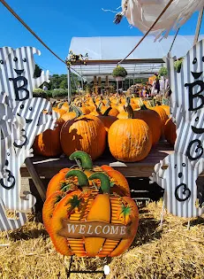 Secor Farms