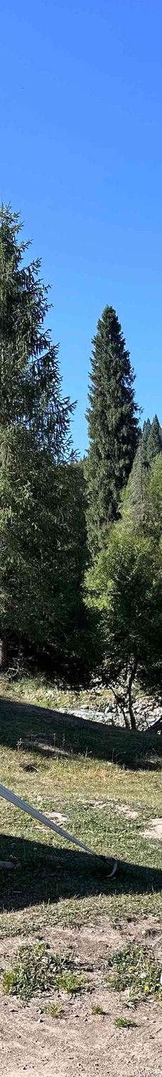 库尔德宁景区-巩留