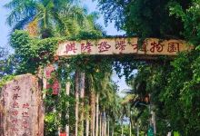 兴隆热带植物园景点图片