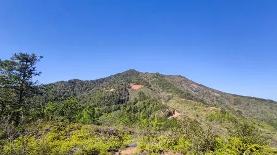 牛峙山