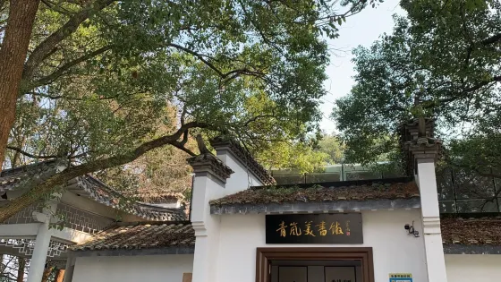 青嵐美書館