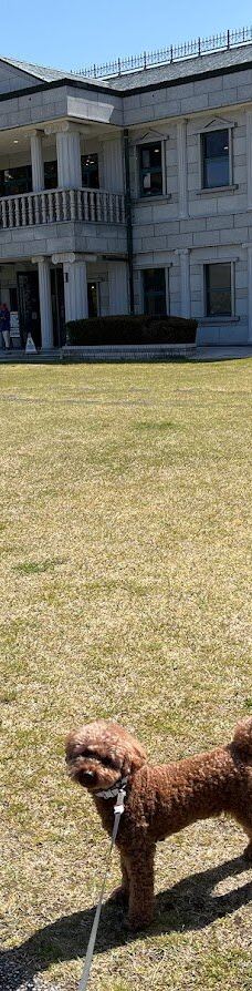 恩赐箱根公园-箱根