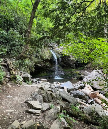 4D3N • Great Smoky Mountains National Park