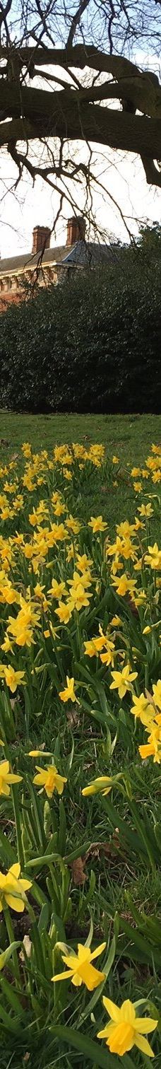 宁布鲁宫和花园-Beningbrough