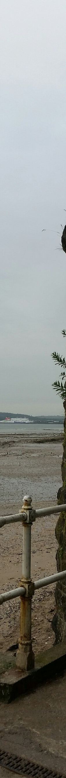 Hazelbank Park-纽敦阿比