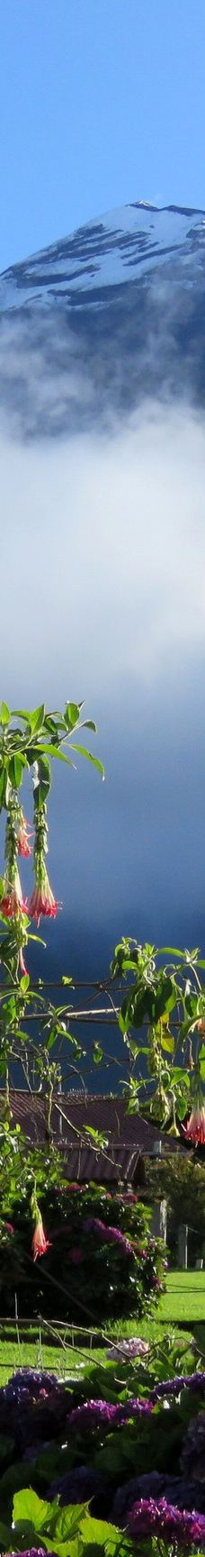 La Casa del Arbol-巴尼奥斯县