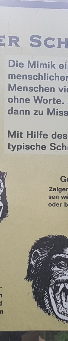 海德堡动物园-海德堡