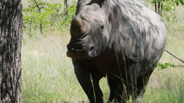 Matobo National Park.