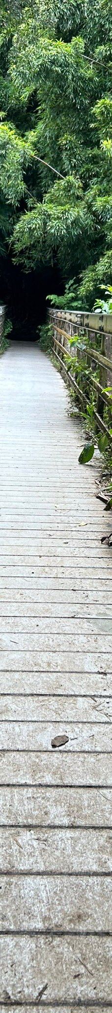 皮皮崴小径-茂宜县