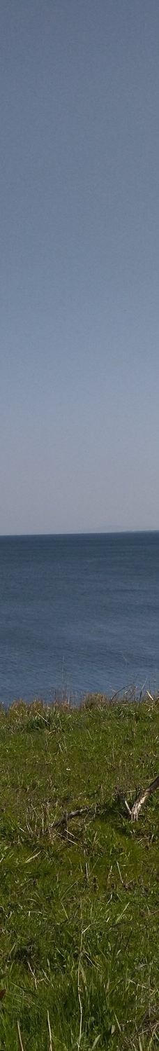 尼御前岬-加贺市