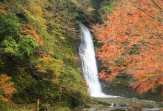 阿瀬渓谷景点图片