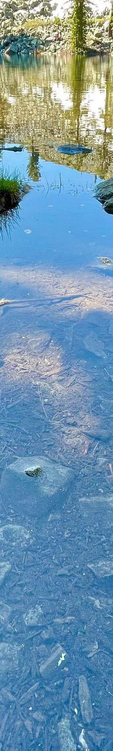 Mt. Tallac Trail-埃尔多拉多县