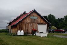 Charlotte Village Winery景点图片