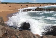 La Plage du Paracou景点图片