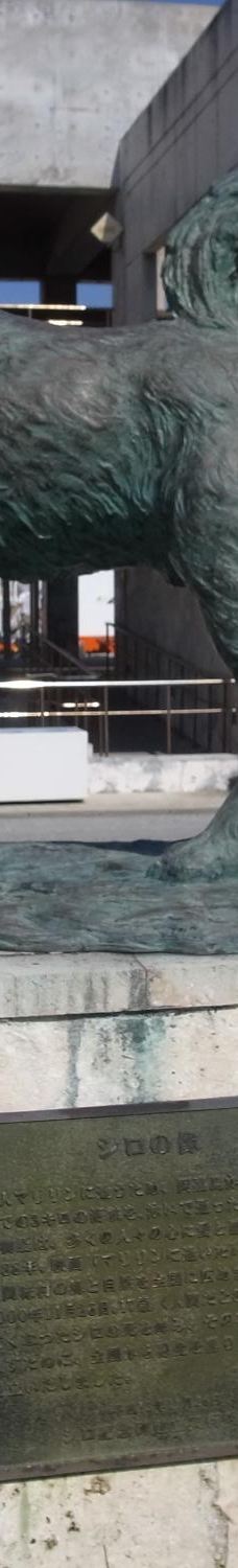 忠实的狗白 哀悼纪念碑-座间味村