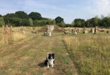 Awbridge Hill Wildlife Sanctuary景点图片