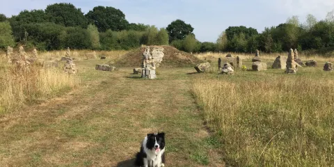 Awbridge Hill Wildlife Sanctuary
