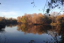 Hartman Reserve Nature Center景点图片
