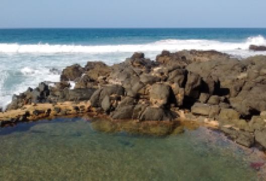 Willard Beach景点图片