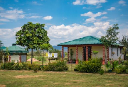 Maasai Mara Botanical Garden景点图片