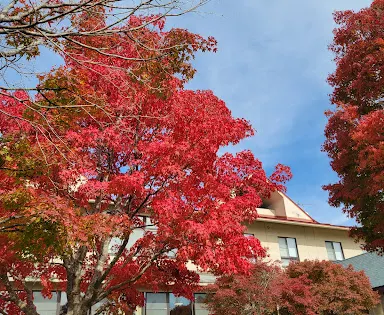 もみのき森林公園 公園センター