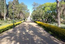 Plaza San Martín景点图片