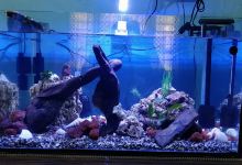 La Aquaria购物图片