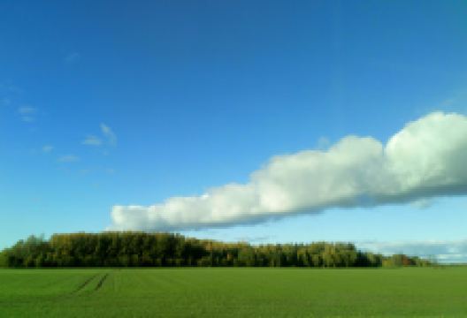 Tãhemaa lõkkekoht景点图片