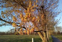 Am Mühlteich - 04668 Parthenstein景点图片