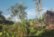 Alikhsan景点图片