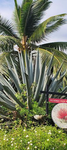 Big Island Bees-Honaunau-Napoopoo