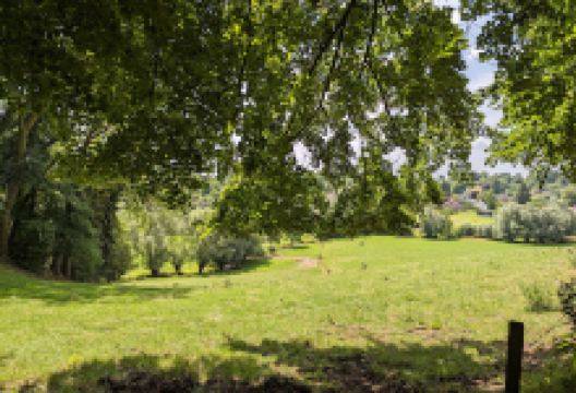 Landgoed Goedenraad景点图片