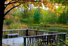 Miller Creek Nature Reserve景点图片