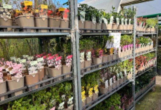 The Garden Warehouse购物图片