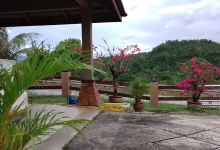 Baling Bersatu Homestay景点图片