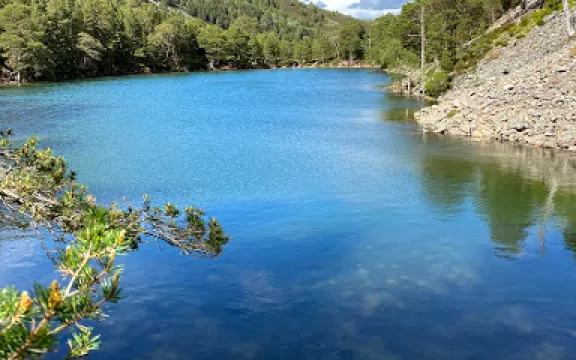 Abernethy National Nature Reserve