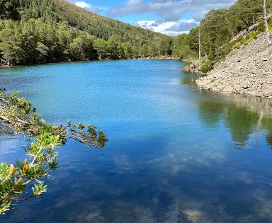 Abernethy National Nature Reserve