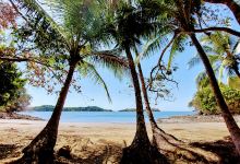 Playa Arena Bonita景点图片