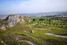 Forest Park Hillpark home景点图片