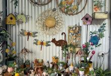 Plants Whitsunday购物图片