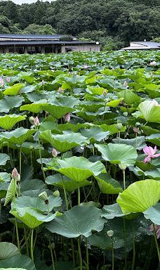 荒神谷博物館-出云